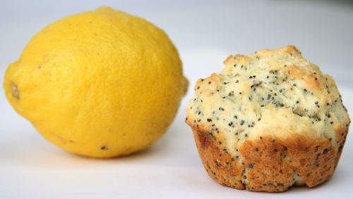 Lemon Muffins Shot 2