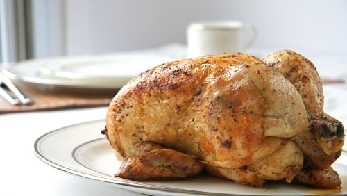 Chicken Shot 1