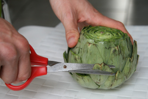 Cutting Tip Shot