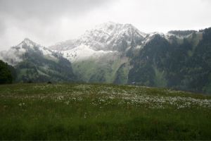 Switz 3