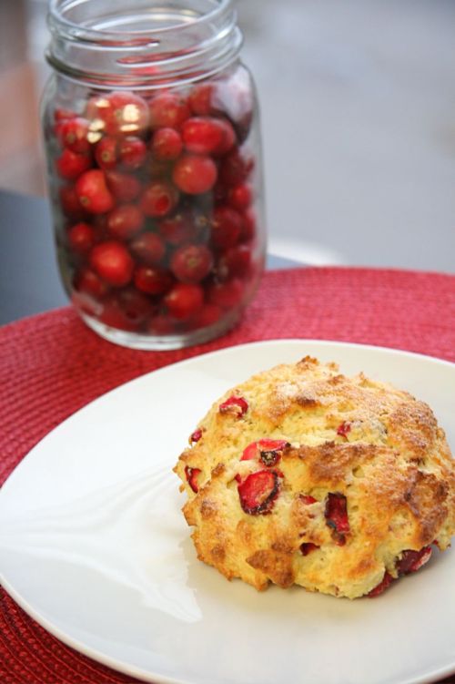 Cranberry Shot 1