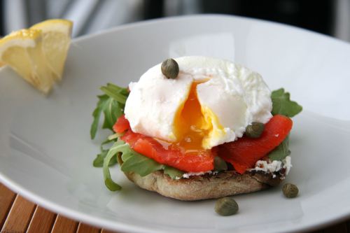 EggShot1